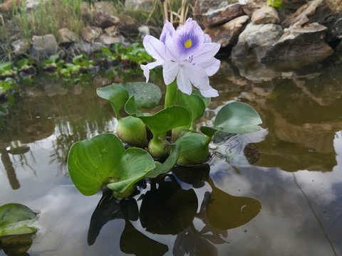 加拿大28开奖现场